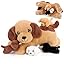 Brown Dog