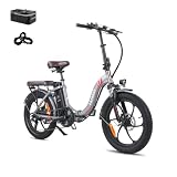 Fafrees F20 PRO E-Bike - Bicicleta eléctrica plegable (20 pulgadas, motor de 250 W, batería de 36 V, 18 Ah, 20 x 3,0 pulgadas, 40 Nm, bolsa trasera + cerradura de coche, gris)