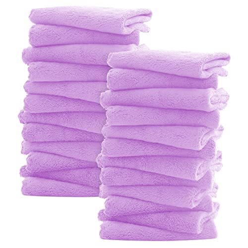 Sunny Zzzzz Ultra Soft 24 Pack Baby Washcloths - 10X10 Inches - Coral Fleece Extra Absorbent Wash Clothes For Babies, Infants And Toddlers - Sensitive Skin And Newborn - Ideal Baby - Violet Purple #TOP14