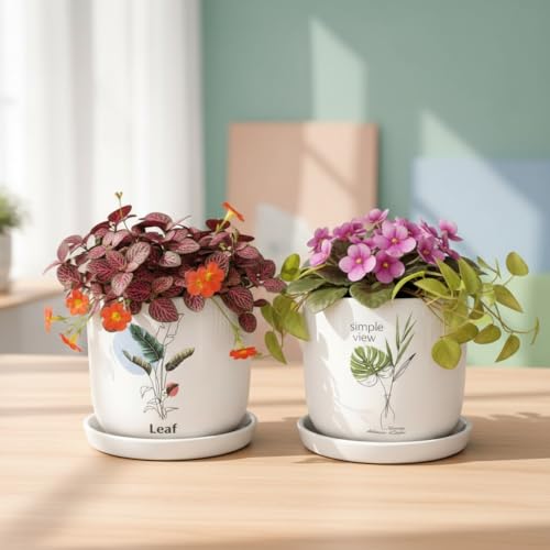 Image of Xtore Aureflora Ceramic Planter with Drainage Tray | Artistic Floral Print Pot for Home, Study Table & Window Decor - (White, 2 Piece, Planter ONLY)
