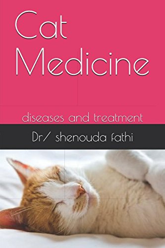 Cat Medicine: diseases and treatment