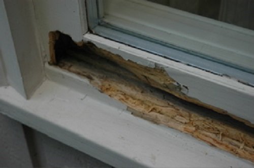 Pc Products Pc-Petrifier Water-Based Wood Hardener, 16Oz, Milky White 164440, 16-Ounce (Fоur Расk) #TOP1