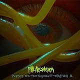  Pferde die von Nudeln träumen II