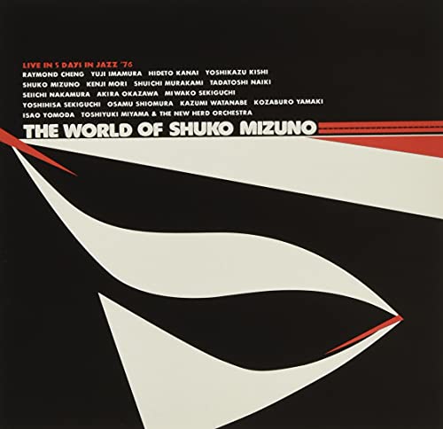 水野修孝の世界