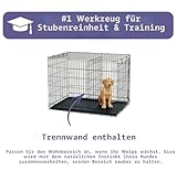 MidWest Homes for Pets iCrate Hundebox, klappbar, 1 Tür, Trennwand, auslaufsichere Bodenwanne, sichere Verriegelungen, Drahtgitterbox für extra kleine Rassen, tragbar, robust, leichter Aufbau, 59 cm