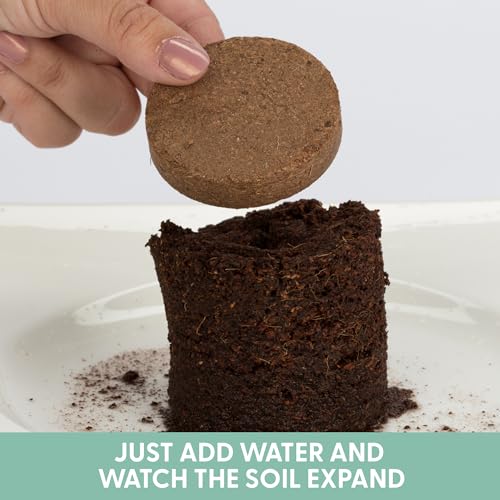 The Cat Ladies Potting Soil for Indoor/Outdoor Plants, Expands to Fit 3 Inch and 4 Inch Pots - 12 Pack - Thumbnail 2