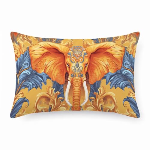 Housse de coussin 50 x 100 coloré velours coussin exterieur
