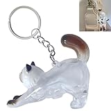 collector clermont florida Le cadeau parfait : la boîte de rangement Smaoqingji pour poils de chat est une pièce de décoration fascinante qui éveille les émotions et réchauffe le cœur de tout amateur de chat, ce qui en fait le cadeau idéal pour les autres amis des chats