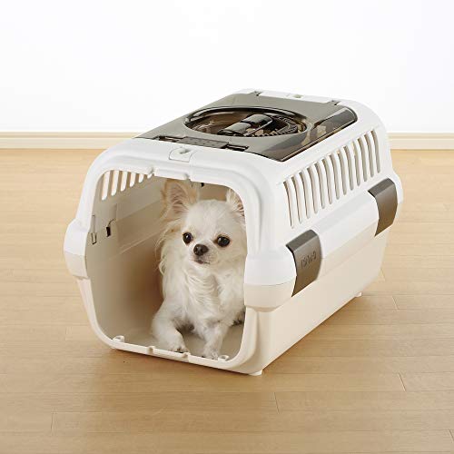 Richell: Double Door Pet Carrier II - Small White - Dog & Cat Transporter, Collapsible, Clear Top & Front Doors, Pets Up to 11lb, Latches to Seat Belt