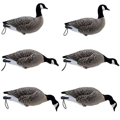 Final Approach Live Full Body Lesser Canada Geese, Decoy 6 Pack in Brown