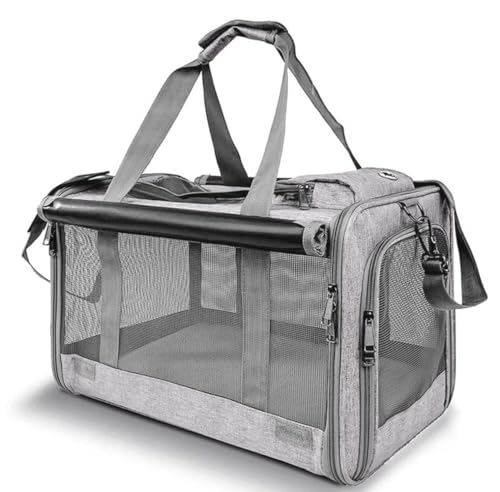 L [obO ybgL[Lp̃ybgobO tbV 킢 y ŃRpNg NbVt ܂肽Ŏ[\ gNVt Xy[XL \tgGbW ܂肽݉\ lGΉ ĂƓ~̗s₨o (O[)