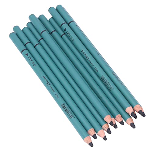 Alomejor Crayons à Charbon de Bois Professionnels Polyvalents, écriture Lisse pour Dessin détaillé, Peinture, Croquis, Cadeau pour Artistes, Lot de 12