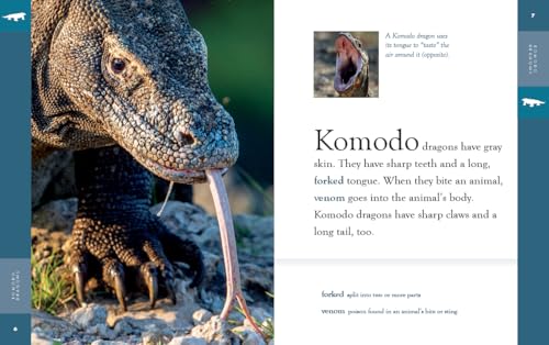 Komodo Dragons (Amazing Animals)