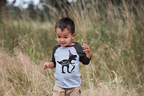 7 Ate 9 Apparel Two 2 Second 2Nd Birthday Dinosaur Grey Baseball Shirt T-Shirt 2T #TOP2