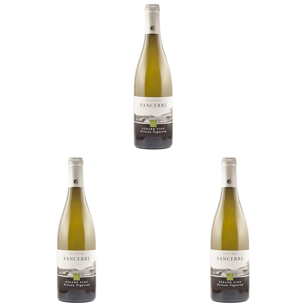 Domaine Gérard Fiou Sancerre Blanc AOC Trocken (1 x 0.75l) (Packung mit 3)