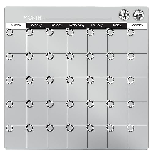 Tilibra - Quadro Calendário Magnético 35,6x35,6cm, Cores Sortidas