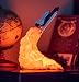 Produktbild Nachtlicht2019 Neue Space-Shuttle-Lampe Und Mondlampen Im Nachtlicht Durch 3D-Druck Für Weltraumliebhaber Rocket Lamp-Shuttle Twisted Large Size