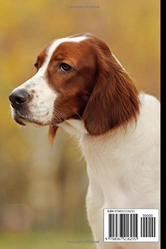 Irish Red And White Setter Dog Notebook For Dog Lovers: Composition Notebook 6x9" Blank Lined Journal - Image 2