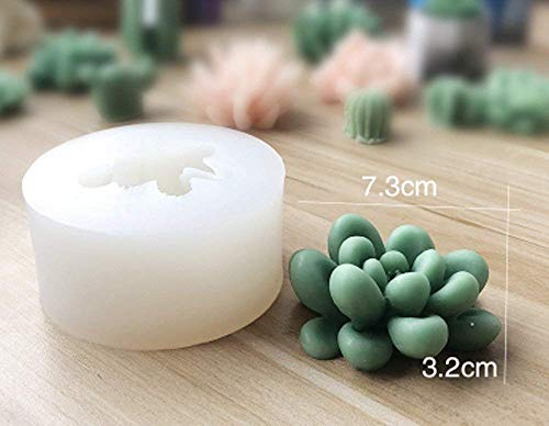 Silicone Succulent Cactus Candles Handmade Molds Fondant Mould Soap Mold for Valentine's day Birthday Party Wedding Spa Home Decoration (#06)
