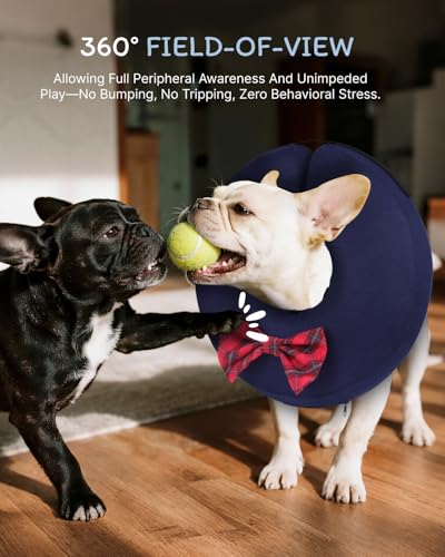 Image of MIDOG Inflatable Dog Cone, Soft Donut Recovery Collar, Bow Tie, Large | Neck 15-20in, inflatable PVC bladder, nylon cover machine-washable, post-surgery anti-lick, thread collar loops