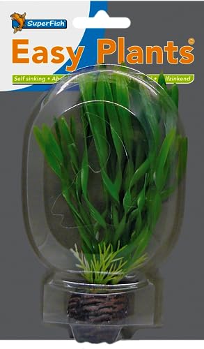 Superfish Easy Plant Foreground 13cm (No 6)