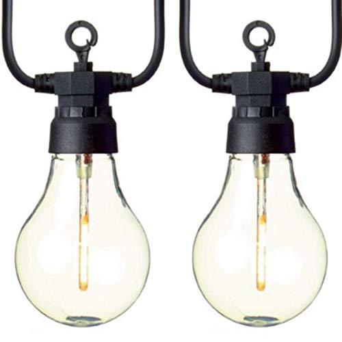 Premier 10 Connectable Warm White Lights with Clear Bulbs