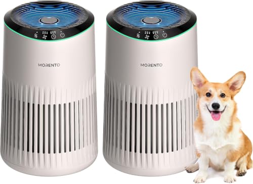 Air Purifiers for Bedroom Home for Smoke Pet Dander Odors 2 Pack Cream
