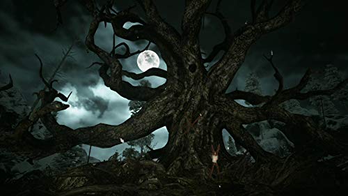 Kholat Nintendo Switch - vue 9