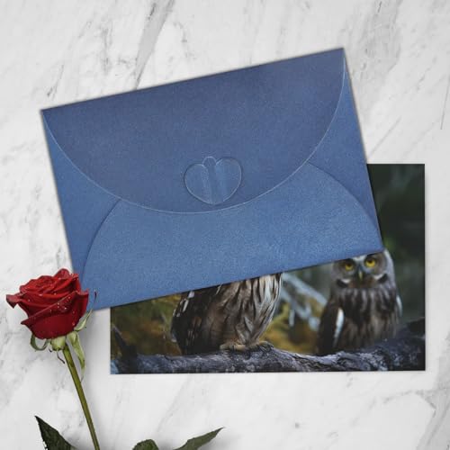 Cartes de vœux vierges hibou et oiseaux pour toutes occasions