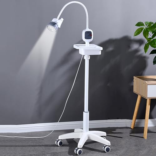 Lampe d'examen chirurgicale LED col de cygne pour cabinet dentaire
