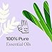Plant Therapy Anti Age Essential Oil Blend 10 mL (1/3 oz) 100% Pure, Undiluted, for Fine Lines, Wrinkles, and Elasticity