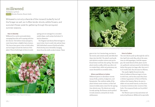 Timber Press Rose, Lisa M. Midwest Foraging: 115 Wild And Flavorful Edibles From Burdock To Wild Peach thumb #5