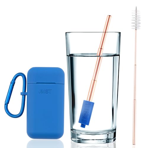 Mist Reusable Straw, Collapsible Reusable Metal Water Filtering Straw Removes Chlorine & Odor, BPA-Free, Portable, Stainless Steel, Filter Straw With Carry Case, Brush, Travel-Friendly, Navy