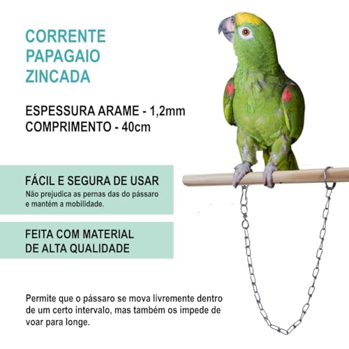 Corrente para Papagaio Anel De Pé Tornozeleira Pássaros