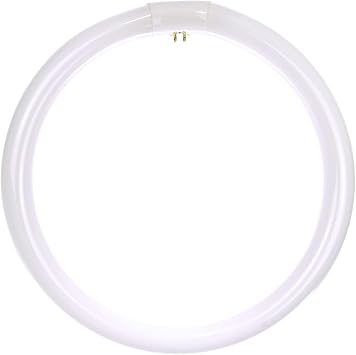 Sunlite 05039 FC12T9/DL T9 Round Fluorescent Circline Lamp, 32 Watts, 1750 Lumens, 6500K Daylight, RoHS Compliant, G10Q 4-Pin Base, 1 Pack