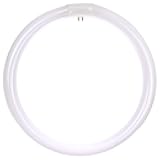41430 FC12T9/WW T9 Round Fluorescent Circline Lamp, 32 Watts, 2600 Lumens, 3000K Warm White, RoHS Compliant, G10Q 4-Pin Base, 1 Pack