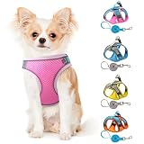 Dog Harness with Leash Set Reflective Dog Harness for Small Medium Dogs Cats, Adjustable Small Dog H