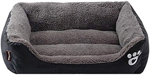 pet store dropshipping