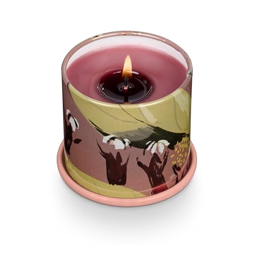 Image of Illume Demi Vanity Tin Candle, Cardamom Pomander
