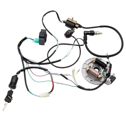 Image of PRO BAT Lifan Stator Kick Start Electric Wire Harness Kit Complete Wiring Harness Loom CDI Coil Magneto for 50cc 70cc 90cc 110cc 125cc 140cc Pit Dirt Bike ATV SSR YX Coolster