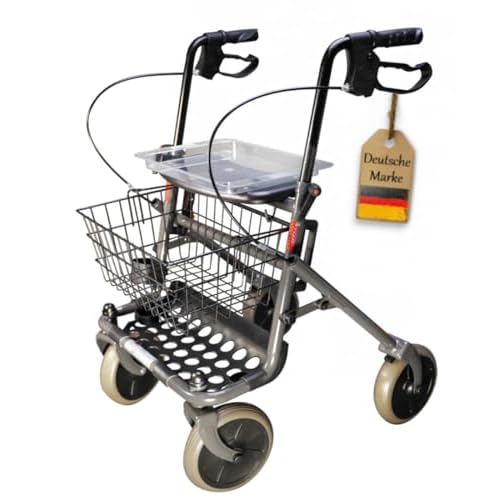 FabaCare Rollator Actimo Basic mit Vollausstattung, Gehhilfe klappbar, Standardrollator, Gehwagen bis 130 kg