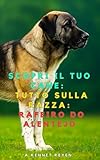 Scopri il tuo Cane:Tutto sulla razza: Rafeiro do Alentejo