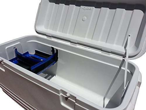 Cooler Shelf CSLDB13512 Food Tray for Ice Chest with Divider, Large, Blue