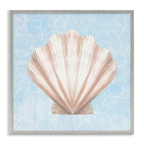 Aquatic Clam Shell Nautical, 24 x 24 Inch Framed Giclée Print