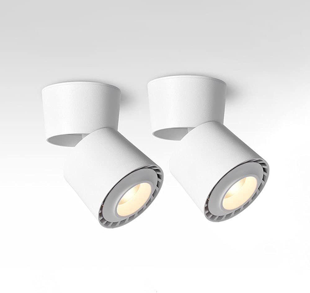 Led Directional Spotlight Indoor Ceiling Light Fixture, 2 Pcs Indoor Surface Mounted Accent Spot Lighting, Gallery Picture Corridor Living Room Ceiling Spotlights/White4000K