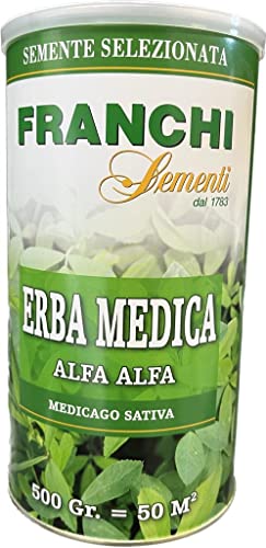Franchi Sementi semi di Erba Medica (alfa alfa) confezione in barattolo da 500 grammi