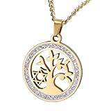 Accesorios para niñas Collar de Estrella de David para Mujeres y Hombres, Colgante Hueco Redondo con hexagrama de circonio de Plata de Ley 925, Mujeres judías, Hombres