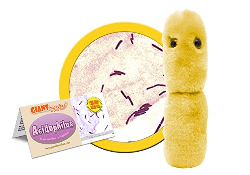 Giant Microbes Acidophilus Plush – Learn About Probiotics and The Gut Microbiome with This Educational Gift for Doctors, Students, Biologists, Educators and Anyone with a Healthy Sense of Humor