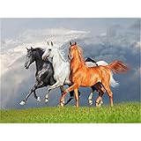 * Remplissez la couleur avec un numéro correspondant sur la toile, si la couleur est incorrecte, attendez qu'elle sèche et couvrez-la avec la bonne couleur