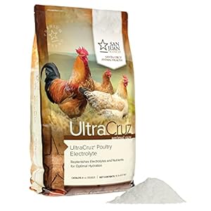 UltraCruz Elettrolita di pollame, 1...